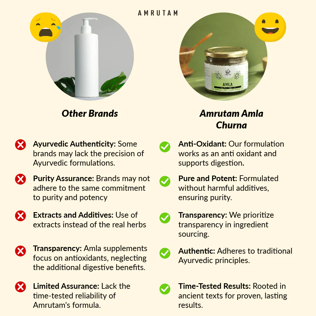 Amrutam Amla Churna | Ayurvedic Anti-Oxidant - Image 4