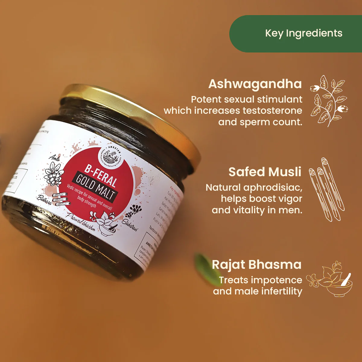 Amrutam B Feral Gold Malt - Image 6