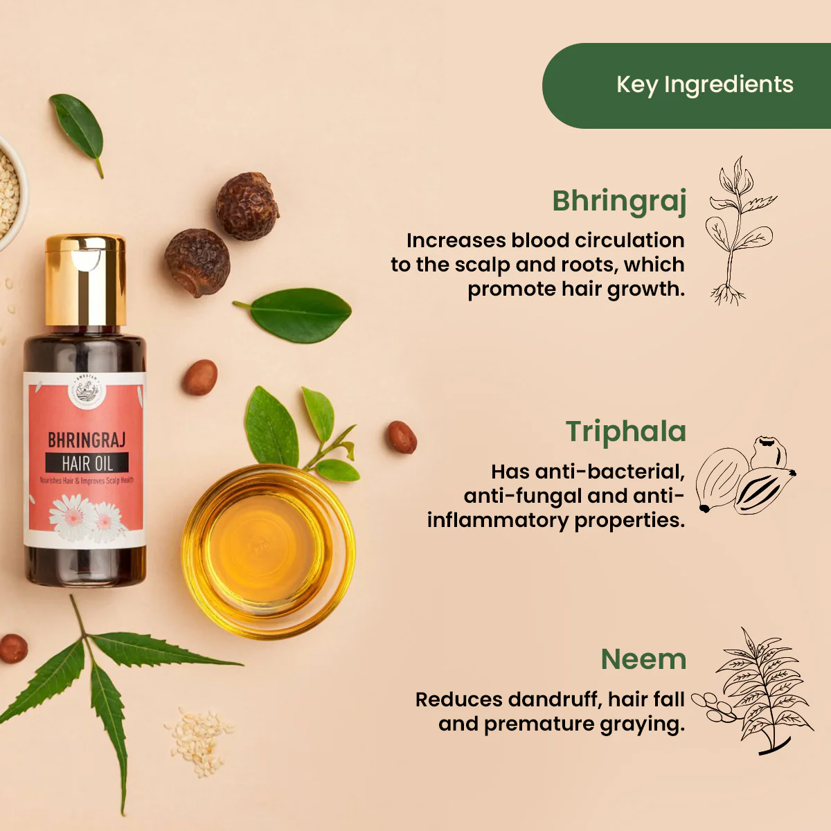 Amrutam Bhringraj Hair Oil | Nourishes Hair & Improves Scalp Health - Image 3