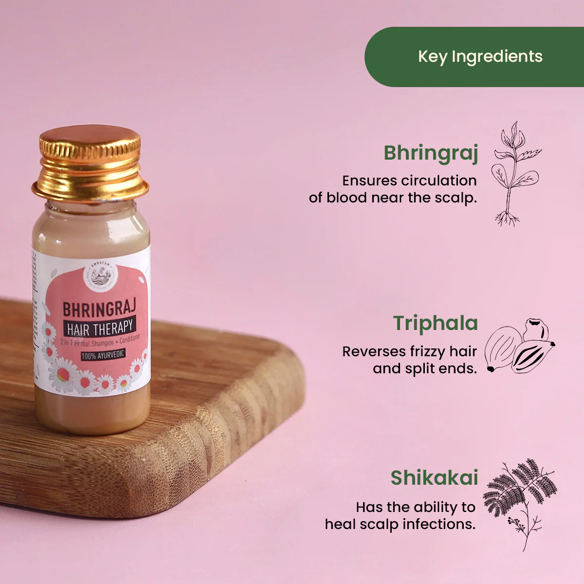 Amrutam Bhringraj Hair Therapy | 2-in-1 Herbal Shampoo and Conditioner | Travel Pack - Image 3