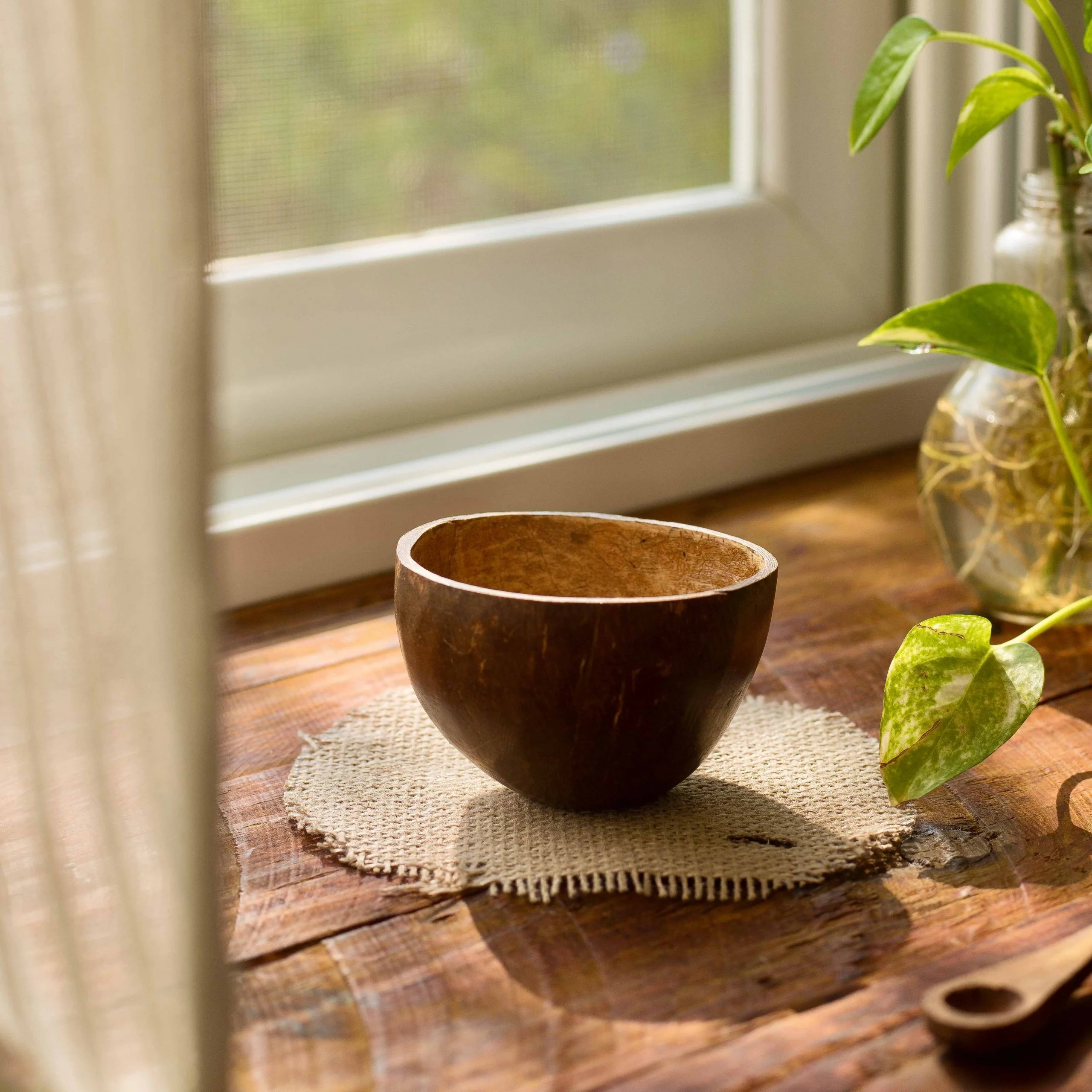 Handmade Coconut Shell Bowl
