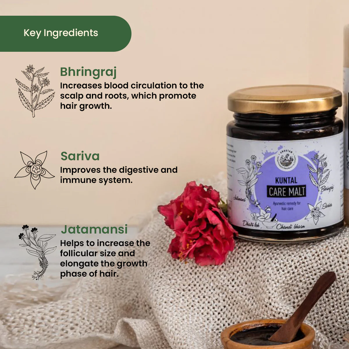 Amrutam Kuntal Hair Care Malt - Image 3