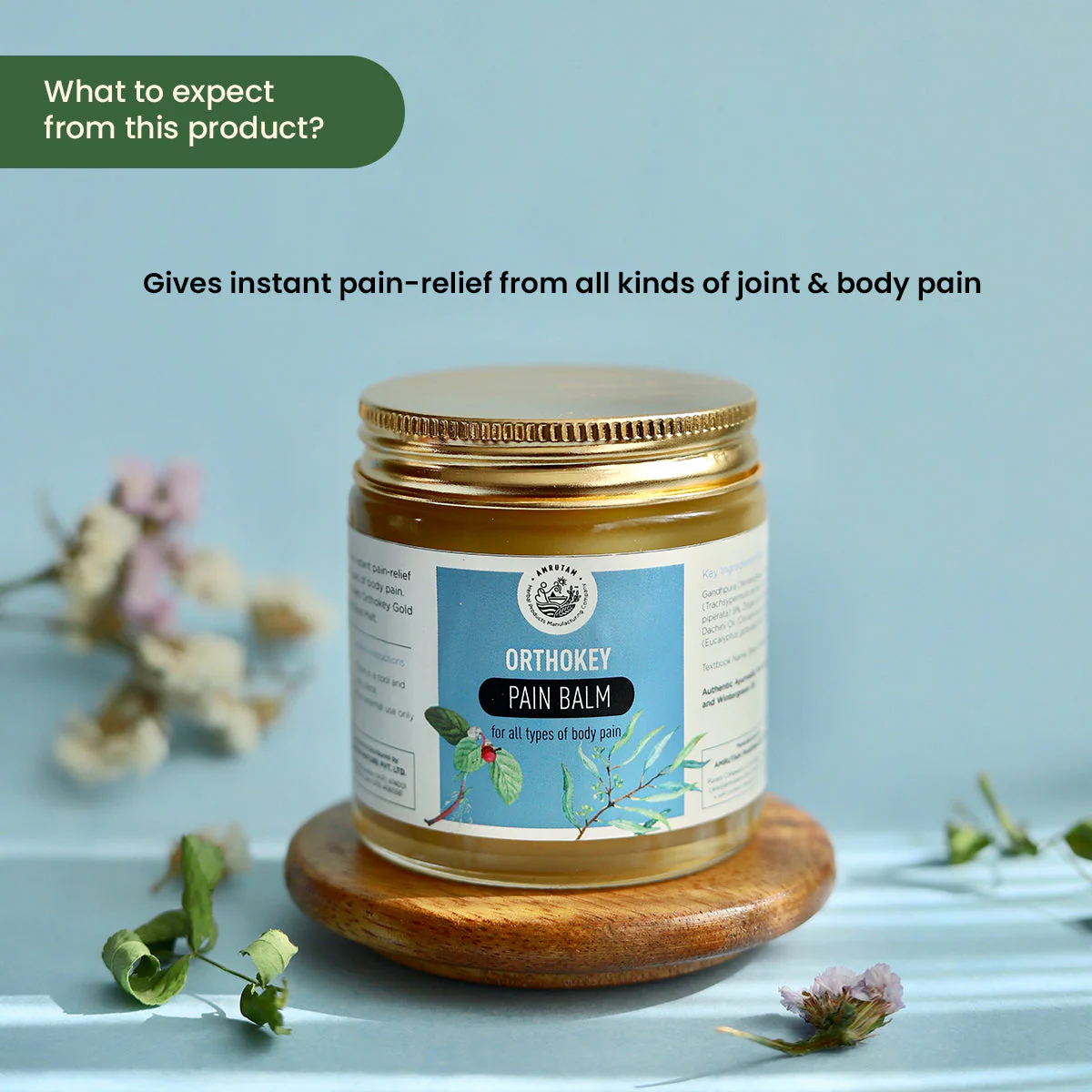 Orthokey Pain Balm - Image 2